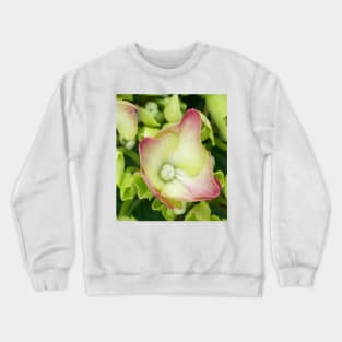 Hydrangea Crewneck Sweatshirt